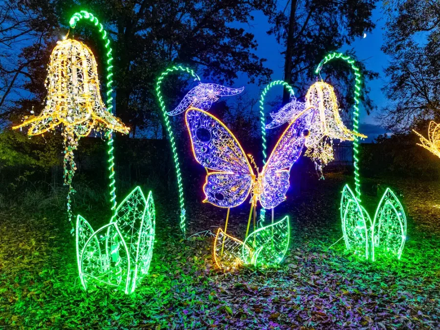 Lichterzauber